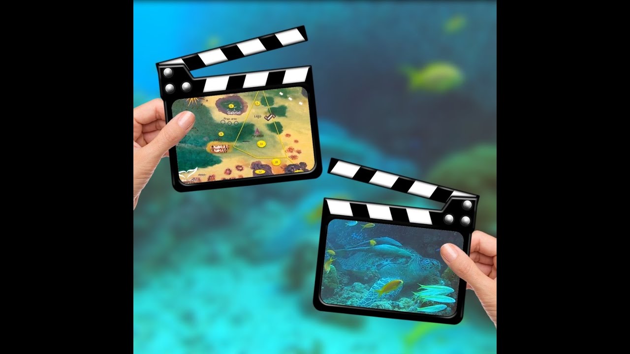 SCUBA WORLD DIVERS MAKADI BAY ROTES MEER ÄGYPTEN ( HAUSRIFF) BEST-OF !!!