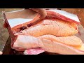 Amazing Eggs!! Giant Pangas Fish Best Cutting Skills | Fish Cutting By Expert Fish Cutter