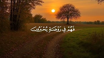 وَيَوۡمَ تَقُومُ ٱلسَّاعَةُ يَوۡمَئِذٖ يَتَفَرَّقُونَ 🌷 #محمد_أيوب #سورة_الروم 