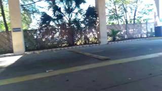 Panama City FL Greyhound