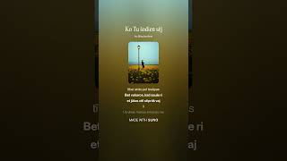 Dons & Ozols - Salauzta Sirds 2026 Cover