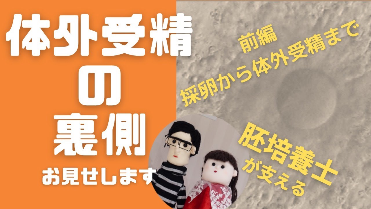 「体外受精(IVF) 採卵～受精（前編）」『POSITIVE 妊活！』シリーズ　IVFなんばクリニック