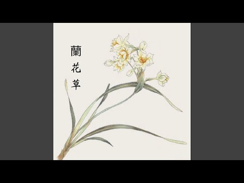 蘭花草