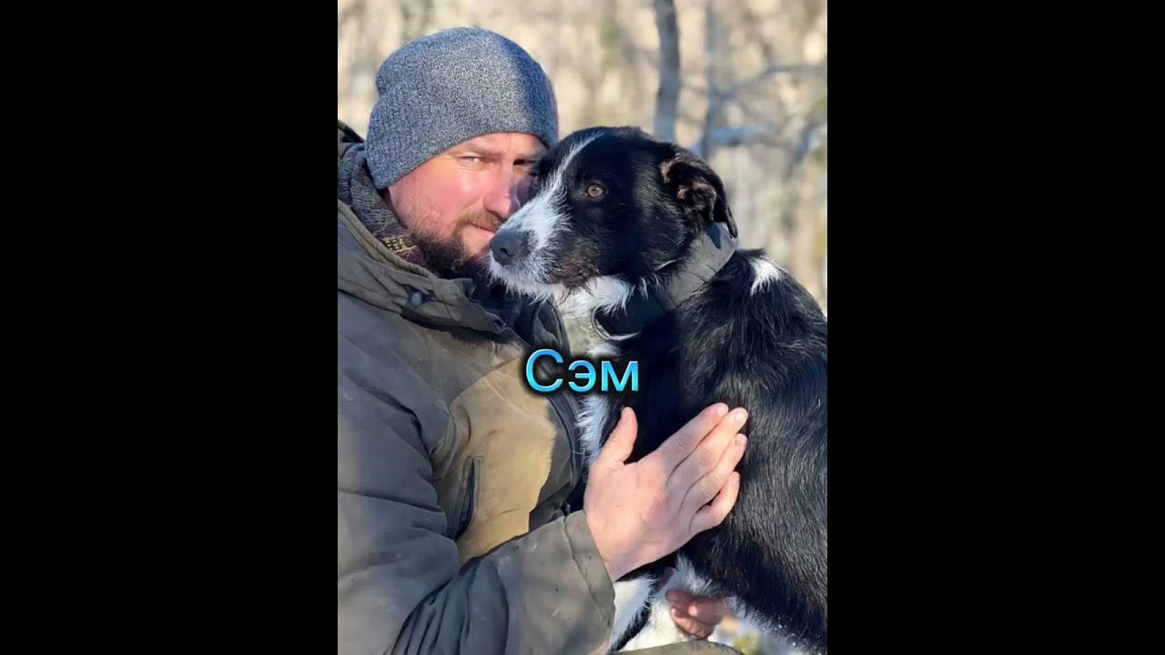 Помощь сильнейшего. Помощь сильнейшего