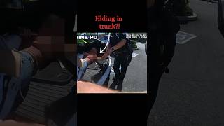 Shoplifting Suspect Found Hiding In Tesla Trunk