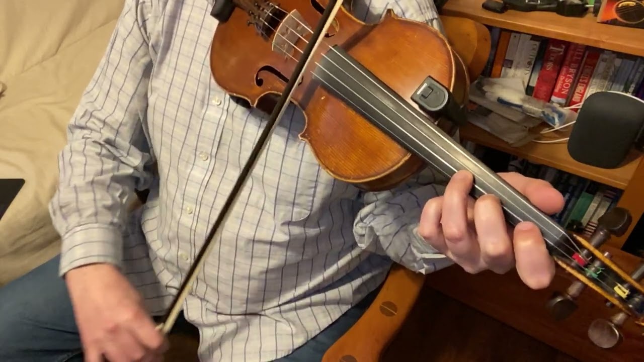 Toss the Feathers Reel in Dmix