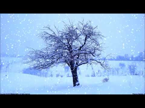 Nika jaliashvili-tovli/ნიკა ჯალიაშვილი-თოვლი