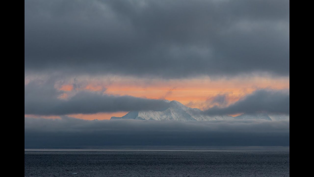 Antarktis und Falklandinseln 2024 - Fotoshow Teil 4