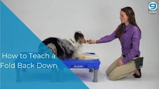 Canine Conditioning with the KLIMB- Teaching the Fold Back Down