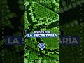 #venenopuro | DISPUTA POR LA SECRETARÍA
