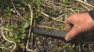 What's in this Midden?