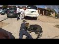 Their Own K9 Turned on Them During a Deadly Shootout
