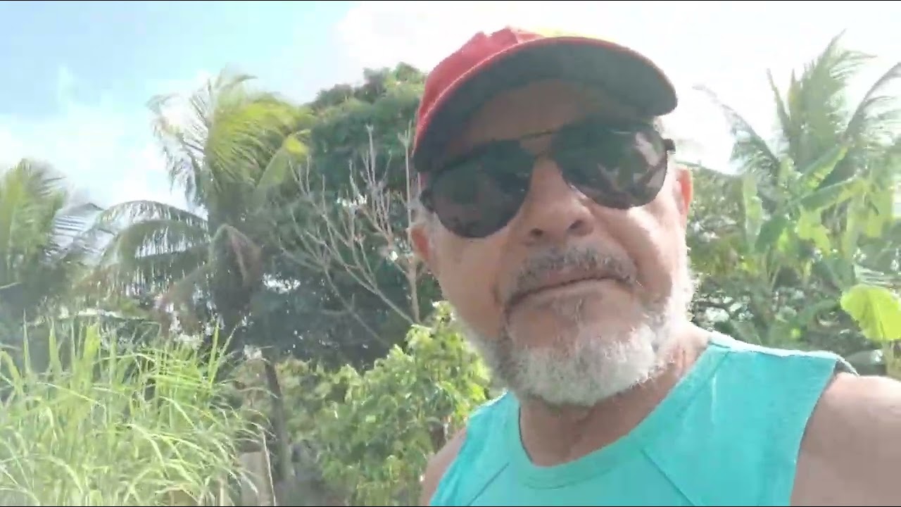 E AI VOCÊ GOSTA DA NATUREZA DE UM LUGAR ASSIM. 