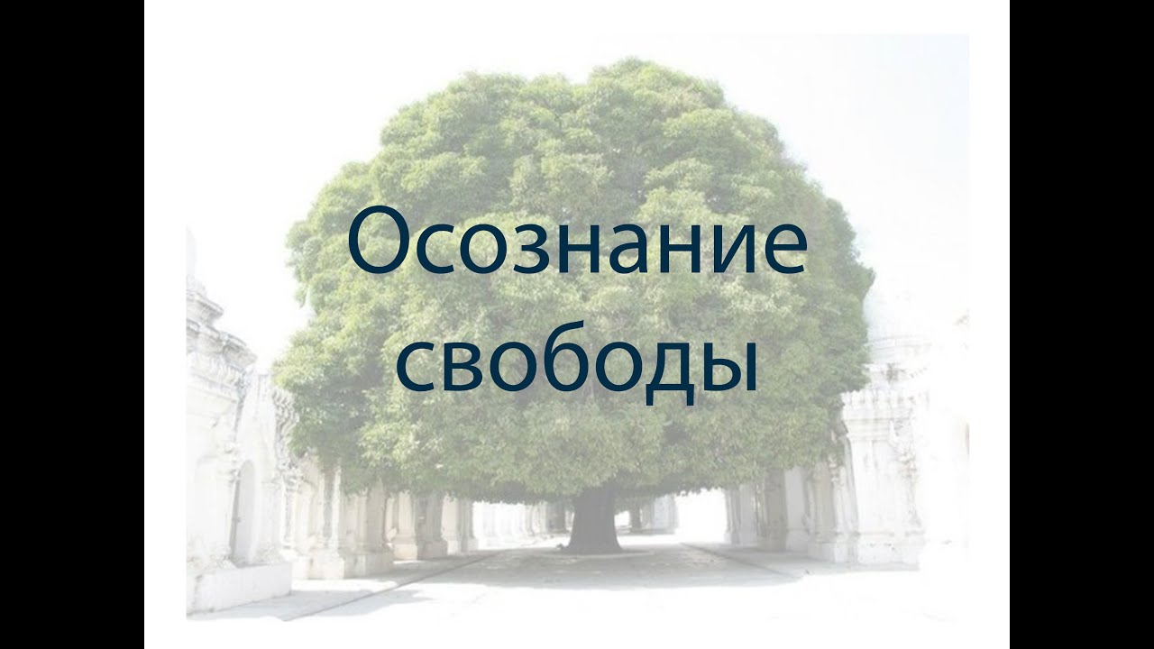 Свобода человека есть осознанная необходимость