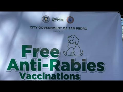 FREE ANTI RABBIES! San Pedro,Laguna - YouTube