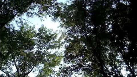 Kid Cudi - do it alone video