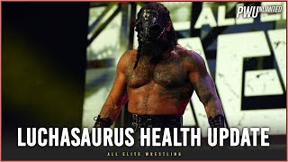 Luchasaurus Health Update After Being Hospitalized For Multiple Days