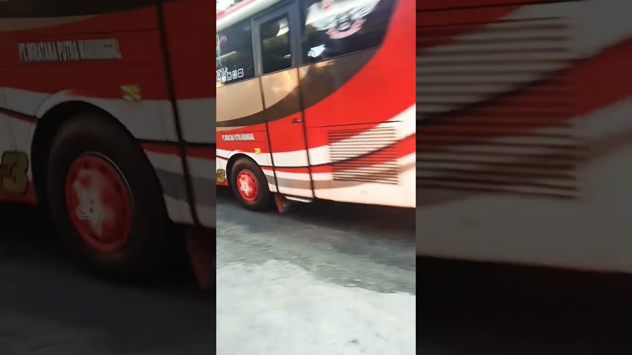 Rally Wisata Ponorogo: Petualangan Menjelajah Bumi Reog dengan Bus Pariwisata