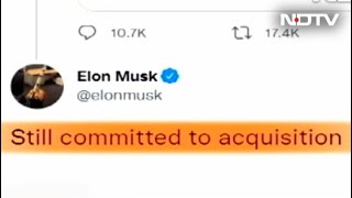 Elon Musk Puts On Hold $44 Billion Deal For Twitter