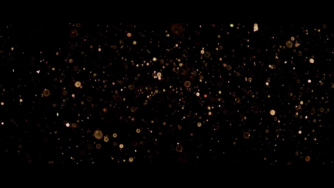 Bright Golden Particles Glowing And Floating On Dark Background In 4K ...