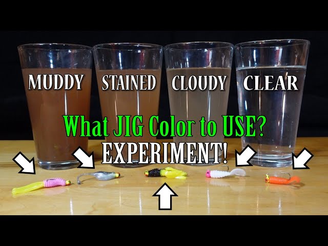 What is the Best Jig Color? Best Lure Color for Water! Muddy to Clear Water  Experiment! 