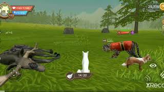 Wildcraft  Leveling Up My Friends Tiger