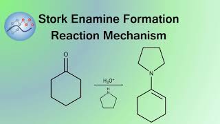 Stork Enamine Formation Mechanism | Organic Chemistry