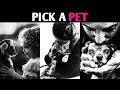 PICK A PET TO FIND OUT HOW SWEET YOU ARE! Personality Test Quiz - 1 Million Tests