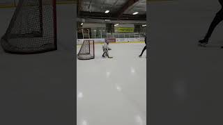 stick and puck 2