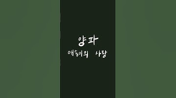 양파 - 애송이의 사랑 cover