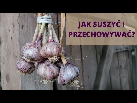 Wideo: Jak stopić wesołego ranczera