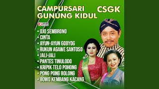 Rukun Agawe Santoso