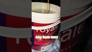 ##Asian Royale luxury emulsion## paint interior #paintyourdreams amananuragkumar ##viralshorts
