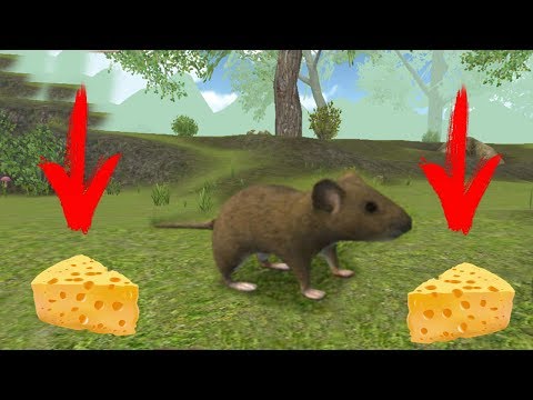 Играть В Симулятор Маленькой Мыши Выживание Лесу Играет