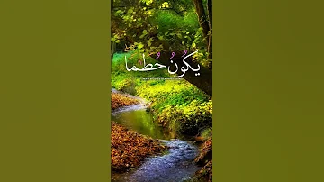 القارئ الشيخ محمد الفقيه قرآن كريم بصوت جميل جدا 