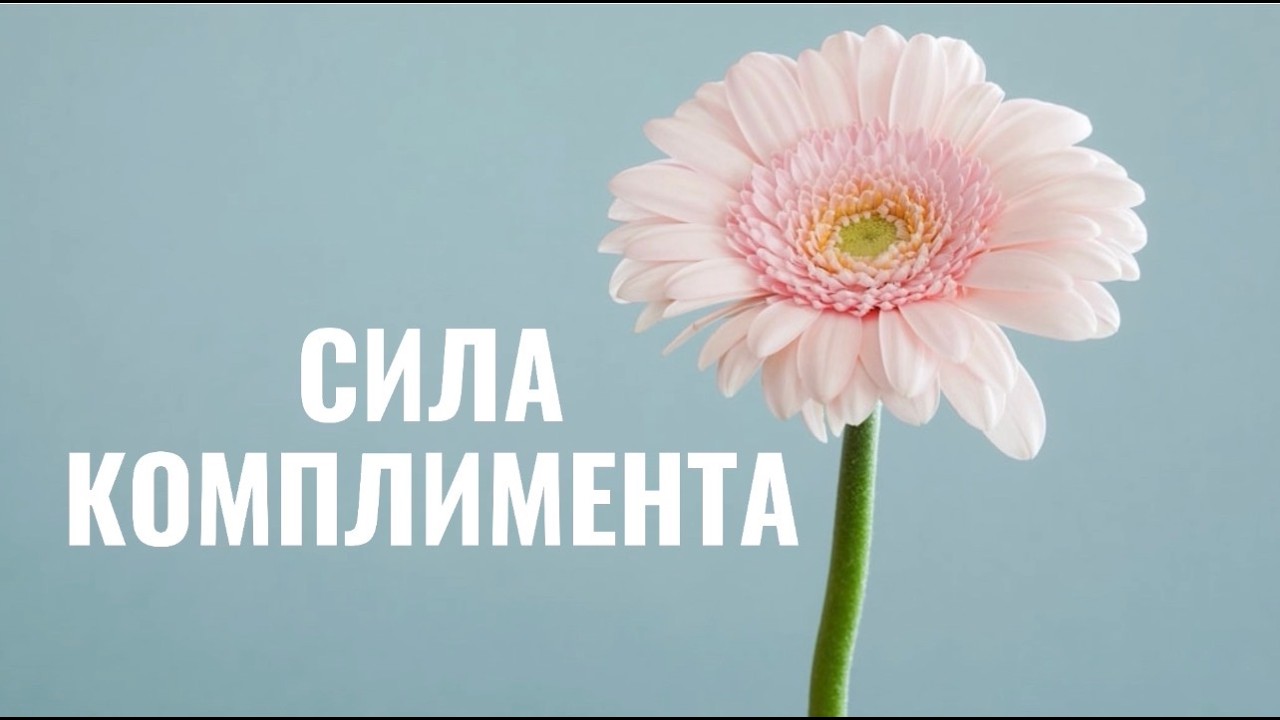 НАВЫК ДЕЛАТЬ КОМПЛИМЕНТЫ И ИХ ПРИНИМАТЬ. 