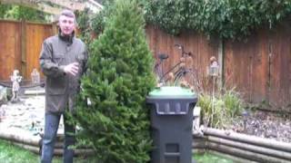 Port Coquitlam -  How to Properly Dispose of Your Christmas Tree