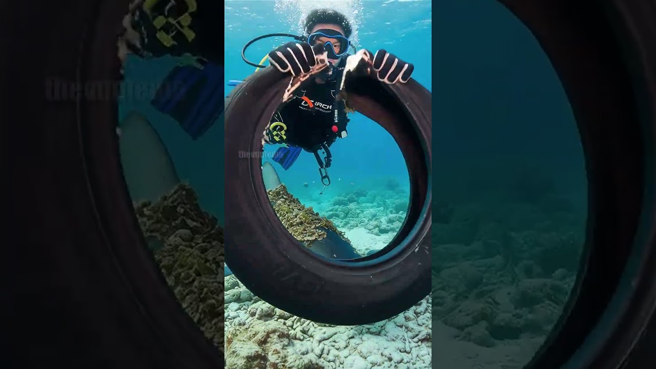 Divers Save Shark From Deadly Trap! 