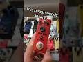 This is The BEST Cheap Guitar Pedal For Thrash METAL #guitar #memes
