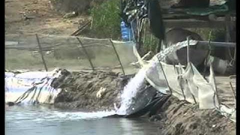 TRANG NN (15-09-2015)-HD KT nuôi ghép tôm, cua, cá đối mục