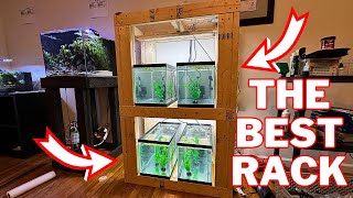 Custom 10 Gallon Aquarium Rack Easy Build