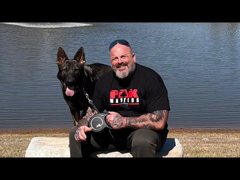 Addressing dog reactivity / aggression