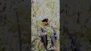 spring_season_enjoyingSalman Bacha 03419346232 MS islamic Tv Subscribe our YouTube channel