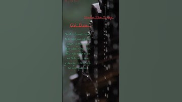 Những câu nói hay về 2 từ cô đơn p15