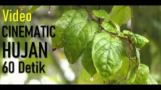 VIDEO  CINAMATIC  HUTAN  60  DETIK