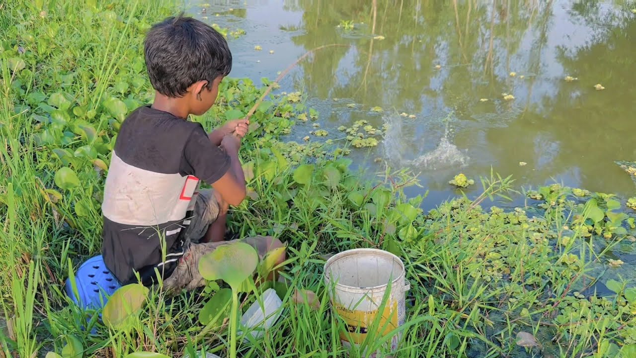 Little boy hunting catching fish by rod Traditional hook fishing in