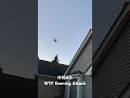 N18AN WTF Evening Attack Alex P Pond Novi MI #AerialStalker #aviation #flying #generalaviation