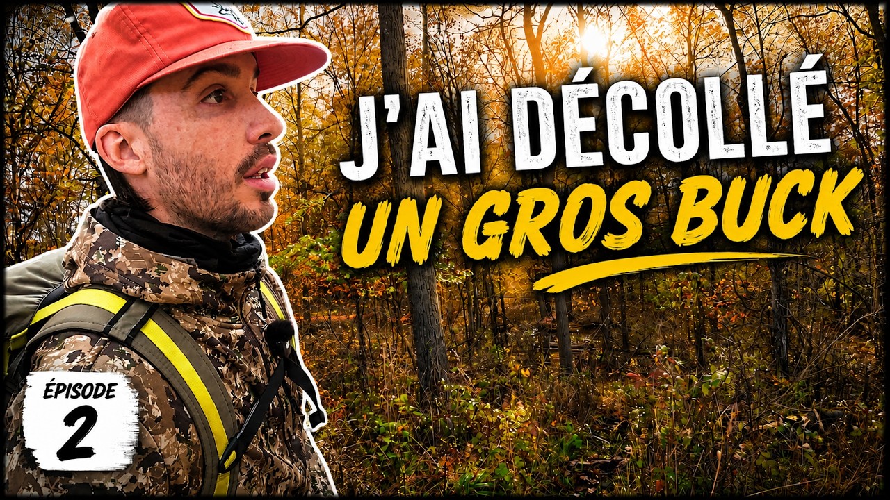 J'ai TROUVÉ un BUCK (Prospection chasse chevreuil) | EP2