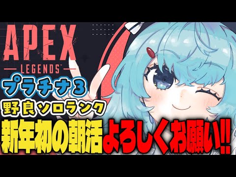 【APEX/プラチナ3】新年初の朝活だ！初見さんもおはよう🌞キーマウソロランク【ゆるりめぐ/vtuber】