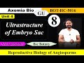 Ultrastructure of Embryo sac|Embryo| Reproductive biology| Bsc Botany| Dr. Rajib Borah|Axomia Bio